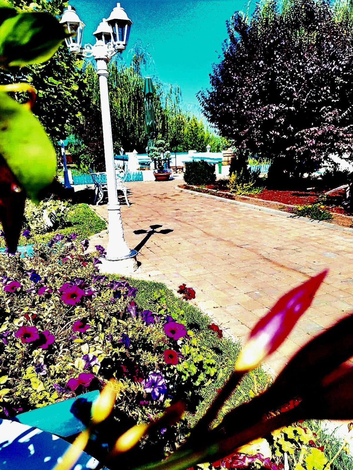 Pensiunea Prigoria Hotel Murighiol Bagian luar foto